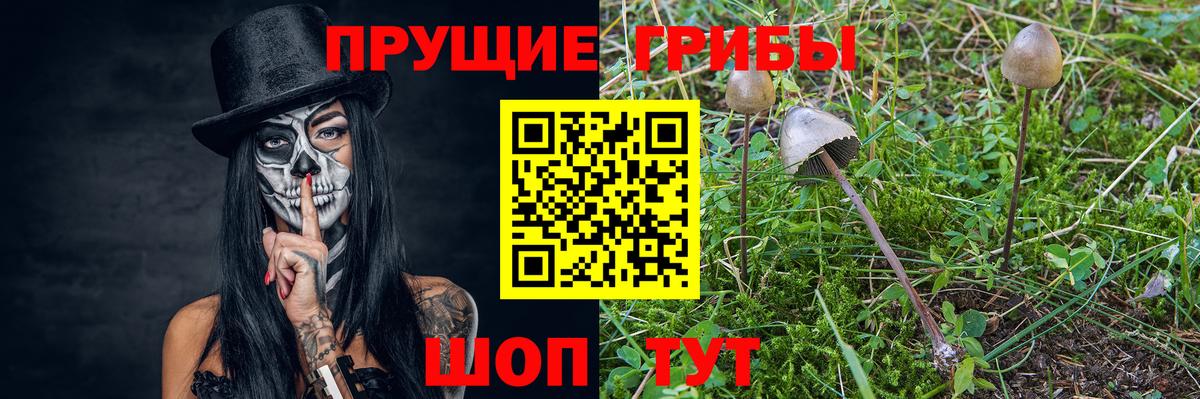Галлюциногенные грибы GOLDEN TEACHER  Вход с VPN  что такое   Кольчугино 